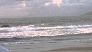 Vídeo Joaquina 241214 06h45 Boletim das Ondas In Paradise [upl. by Nyleek]