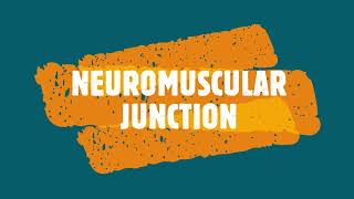 Neuromuscular Synaptic Junction Transmission  Dr Byson EM🩺 [upl. by Bev]