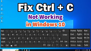 How to Fix Ctrl  C Not Working in Windows 10 PC or Laptop [upl. by Yentyrb]