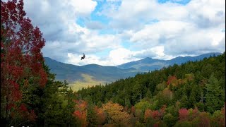 Bretton Woods Resort Canopy Tour [upl. by Notyal]