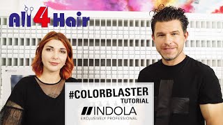 colorblaster  Wir haben mit Indola 2 Looks für euch kreiert [upl. by Dahcir]