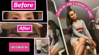 REFECTOCIL eyebrows tint at home practicemakesperfect 🤎 [upl. by Malloy675]