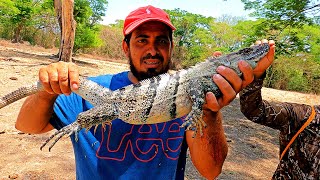 CACERÍA DE GARROBOS GIGANTES TAVO LUCHA CUERPO A CUERPO CON ESTE ENORME GARROBO [upl. by Afaw]