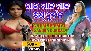 GAI😜 MALA 🥰MALA 😆SANDHA 🫣DURBALA🔥  ODIA DJ REMIX BY DJ SONG MalandaAkulTelkoiKendujhar [upl. by Adranoel]