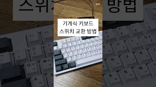 COX 오테뮤 기계식 키보드 스위치 교환 방법 [upl. by Enaek]