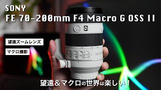 【SONY FE 70200mm F4 Macro G OSS II】望遠ズームレンズ！望遠レンズでマクロ撮影も出来る！高い描写性能でコンパクトサイズ！動画でも使える！【SEL70200G2】 [upl. by Kazmirci]