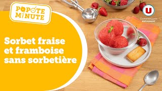 Une recette de sorbet sans sorbetière  c’est dans Popote Minute [upl. by Eerized528]