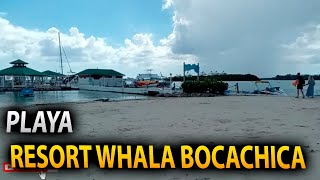 las playas del resort whala bocachica hotel whala boca chica whala resort Reaciona las playa [upl. by Netfa]