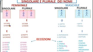 SINGOLARE E PLURALELEZIONE 10 [upl. by Sully]