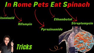 Anti Tuberculosis Drugs Classification Tricks amp Mnemonics [upl. by Engedus745]