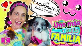 UNO MÁS en la FAMILA 🐶 TAG de la MASCOTA NUEVO MIEMBRO revoltoso 🐕 Perritos cachorros YOUTUBERS [upl. by Maria]