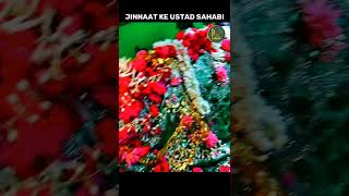 Ek Aise Sahabi Jo Jinnaat Ke Ustad Hain  Hazrat Tameem Ansari Dargah Chennai shorts dargah [upl. by Eceryt]