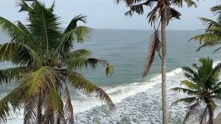 Where to stay in Varkala  Resorts at Varkala cliff  Sea facing resorts in Varkala [upl. by Ijan817]