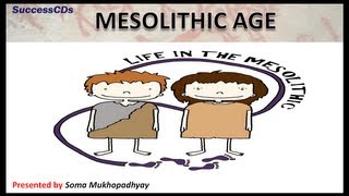 Mesolithic Age  CBSE NCERT Social Science [upl. by Fowkes84]