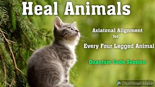 Axiatonal Alignment Code For Animal Healing [upl. by Donaugh181]