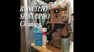 【Rancilio Silvia Pro】Cleaning Backflush【HomeBarista vlog】20200912 [upl. by Lowney47]