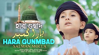 Hara Gumbad। হারা গুম্বাদ। Urdu Nasheed। উর্দু গজল। Salman molla  Al Amin Farabi [upl. by Yelda]