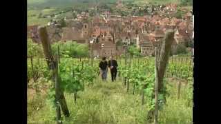 Discover the Wines of Alsace [upl. by Beora545]