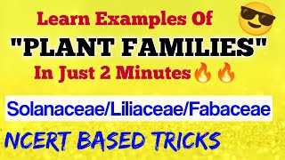 Learn PLANT FAMILIES In 2 Minutes😎 Solanaceae Liliaceae Fabaceae  Ncert Based Tricks  Neet 2021 [upl. by Nauh334]