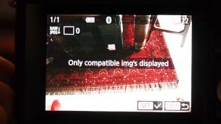 Canon EOS M100 Menus No sound [upl. by Anauj]