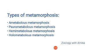 Types of metamorphosis  Metamorphosis and its types [upl. by Pinckney652]