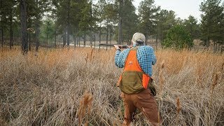 Alabama Quail  The Flush Season 9 Episode 12 [upl. by Eilsew327]