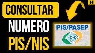 COMO CONSULTAR NÚMERO DO PIS ATUALIZADO [upl. by Kanor]