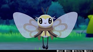 Ribombee In Camp  Pokemon Sword amp Shield [upl. by Icam]