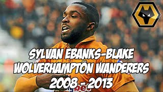 Sylvan EbanksBlake  Wolverhampton Wanderers  2008  2013 [upl. by Slyke324]