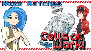 Cells at Work Season 2 Theme [upl. by Htrap]