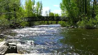 Steamboat Springs Minute  Yampa River [upl. by Eeroc]