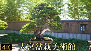 【盆栽】残暑の盆栽 さいたま市大宮盆栽美術館【Bonsai】The Omiya Bonsai Art Museum [upl. by Ddal393]