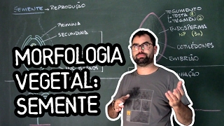 Organologia da Semente  Aula 23 Botânica Prof Guilherme [upl. by Ahsimat]