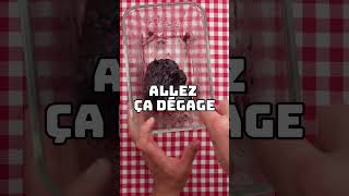 Logique foryou recette recettefacile food cuisine funnyvideo recipe cuisinefacile [upl. by Ulda]