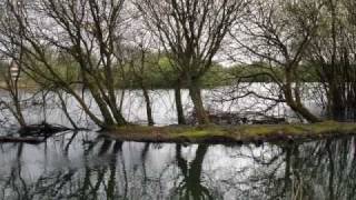 The Old Castle Pond  Llanelli [upl. by Noe478]