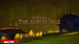 FFXIVLv 47The Aurum Vale  霧中行軍 オーラムヴェイル 有中文解說 [upl. by Etnasa]