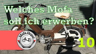 Welches Mofa soll ich mir kaufen  KTM Foxi [upl. by Ardehs]