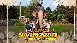 ഉത്രാളിക്കാവിൽ ഇന്ന് തൊഴാൻ വന്ന ഗോപാലകൃഷ്ണൻ Nandhilath Gopalakrishnan Uthralikkavu Temple NGK TODAY [upl. by Ehr]