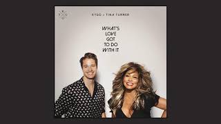 Kygo Tina Turner  Whats Love Got to Do with It Official Audio [upl. by Flatto]