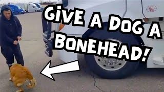 Give A Dog A Bonehead  Bonehead Truckers [upl. by Mcwherter]