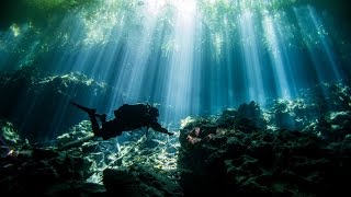 This is why we dive Cenotes [upl. by Inatsed]