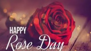 happy Rose Day  Rose Day Status  rose day status 2021  rose day whatsapp [upl. by Alraep]