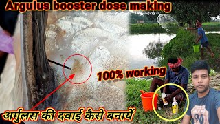 अर्गुलस की दवाई कैसे बनायें  how to making Argulus removing booster dose  fish parasite treatment [upl. by Ardnekan]