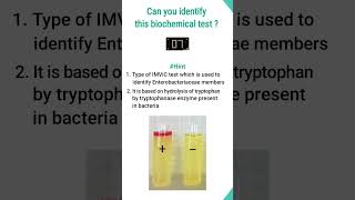 Quiz7  Biochemical test for identification of bacteria shorts shortsfeed microbiology science [upl. by Anoynek930]