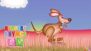 THE KANGAROO SONG  New Nursery Rhymes  English Songs For Kids  Nursery Rhymes TV [upl. by Elynad570]