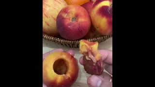 Nectarine deseeding amp cutting cuttingfruit nectarine satisfying shortsyoutube [upl. by Nonnag601]