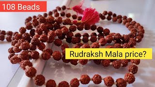 108 beads rudraksh Mala price  8mm size and premium quality rudraksh [upl. by Dawkins]