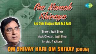 Om Shivay Hari Om Shivay Dhun  Hindi Devotional Song  Jagjit Singh  Superhit Shiv Bhajan [upl. by Eenrahc]