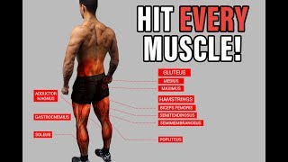 The Best ScienceBased Lower Body Workout for Growth QuadsHamsGlutes [upl. by Lose738]