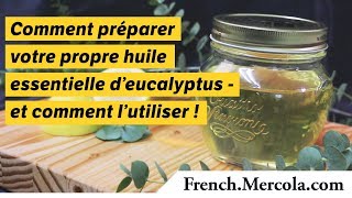 Comment préparer votre propre huile essentielle d’eucalyptus  et comment l’utiliser [upl. by Aharon]